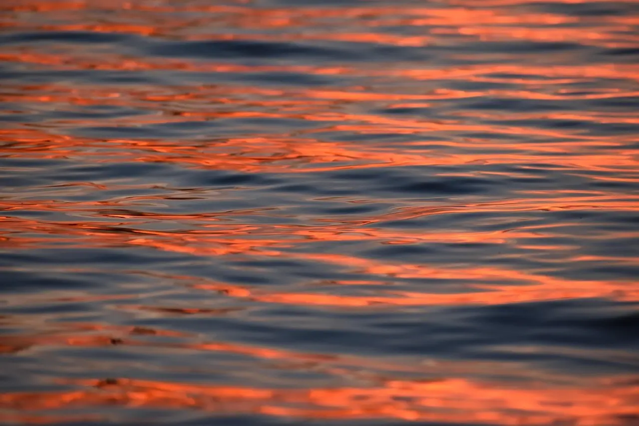 Guide: Vælg den rigtige farvetemperatur til hvert rum